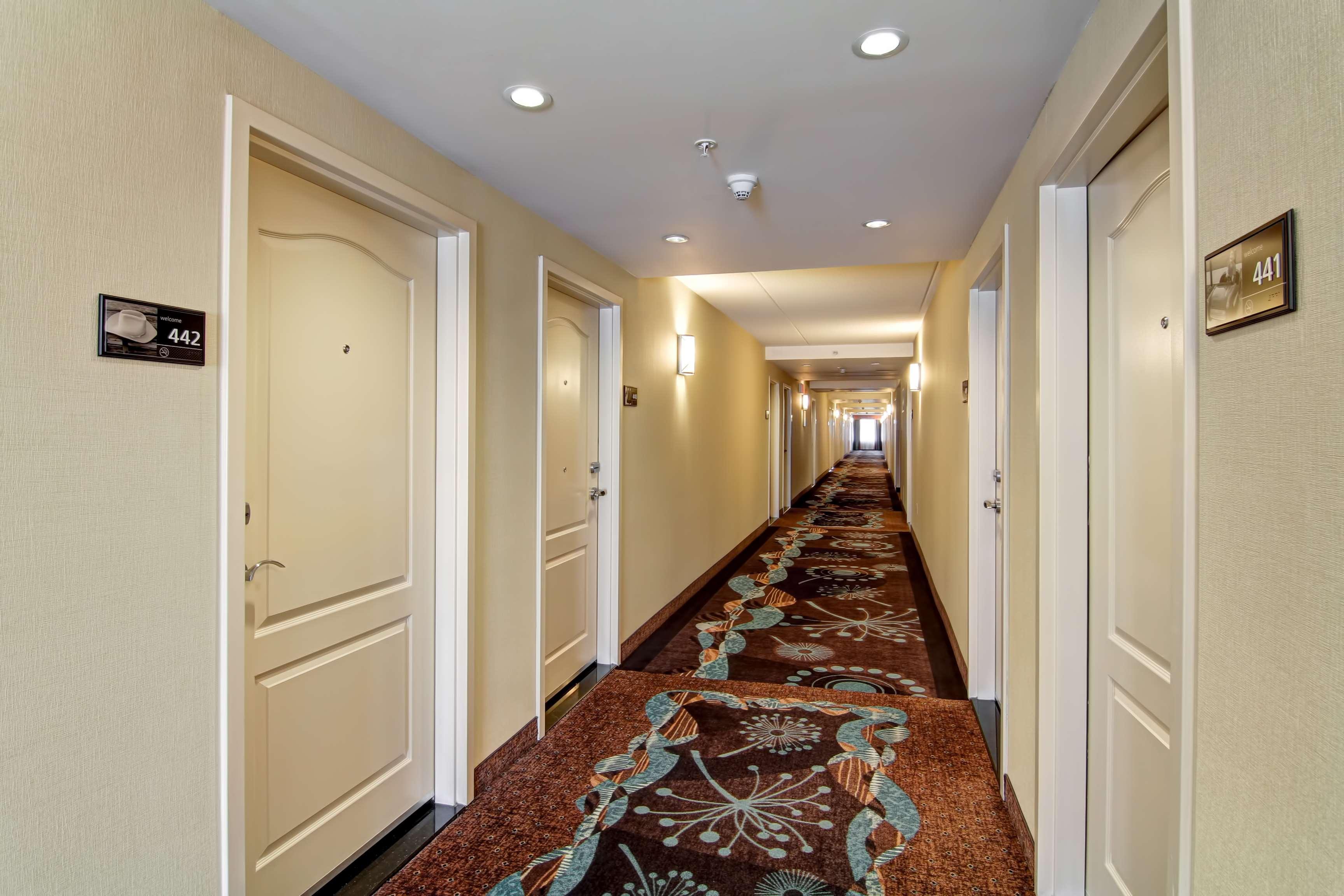 Hampton Inn By Hilton Toronto Airport Corporate Centre ภายนอก รูปภาพ